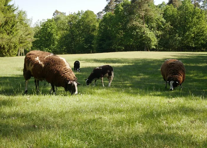 Pegasus Hotel Apeldoorn