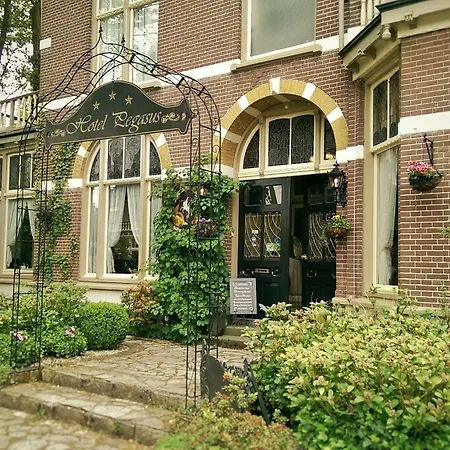 Pegasus Hotel 3*